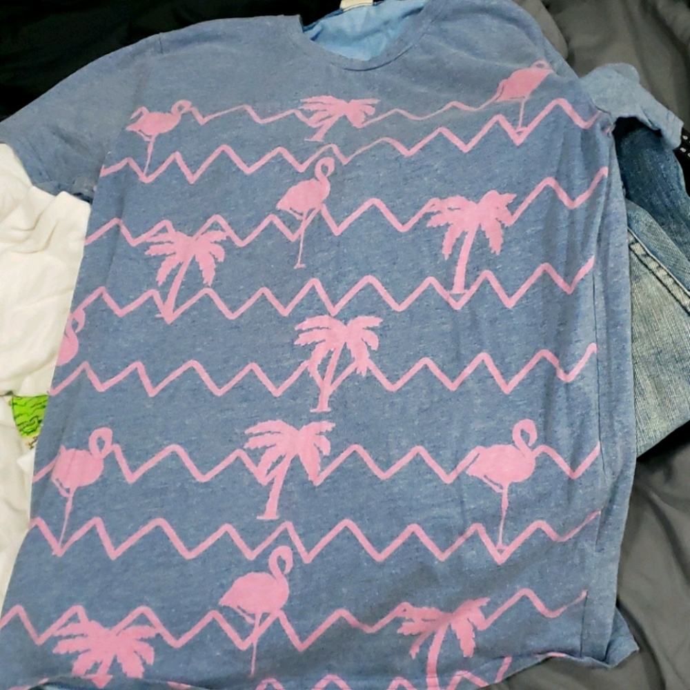 Pink Flamingo Hollister Shirt